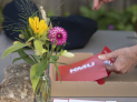 Sommerfest bei der Fünfschilling AG und Immosense AG